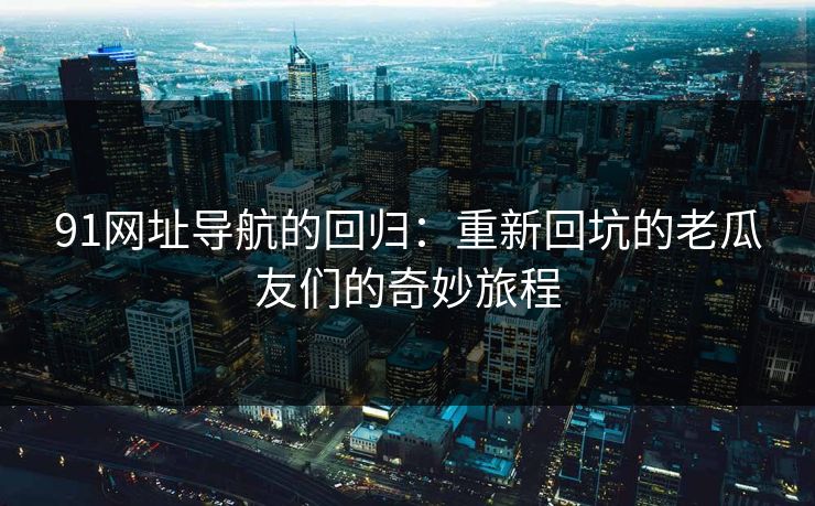91网址导航的回归：重新回坑的老瓜友们的奇妙旅程