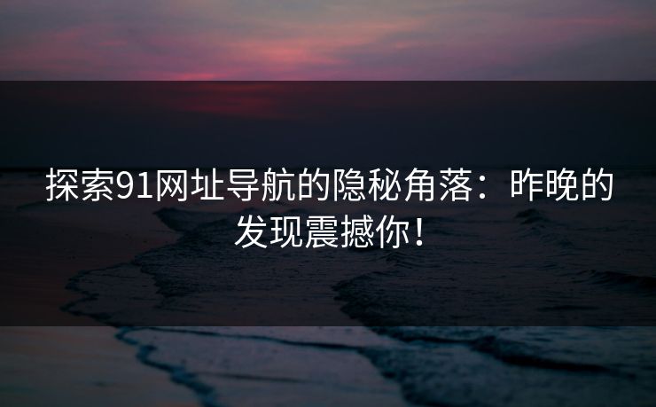探索91网址导航的隐秘角落：昨晚的发现震撼你！