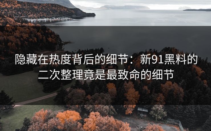 隐藏在热度背后的细节：新91黑料的二次整理竟是最致命的细节