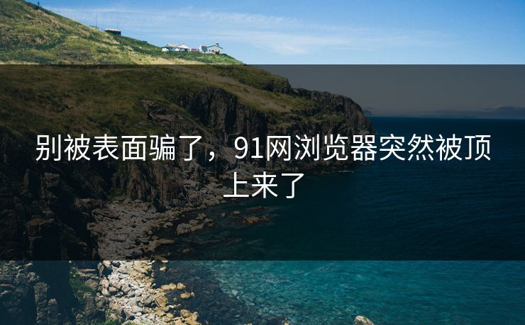 别被表面骗了，91网浏览器突然被顶上来了